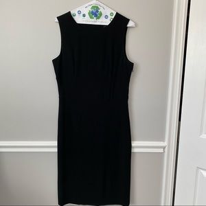 Lovely Flattering Banana Republic LBD Dress